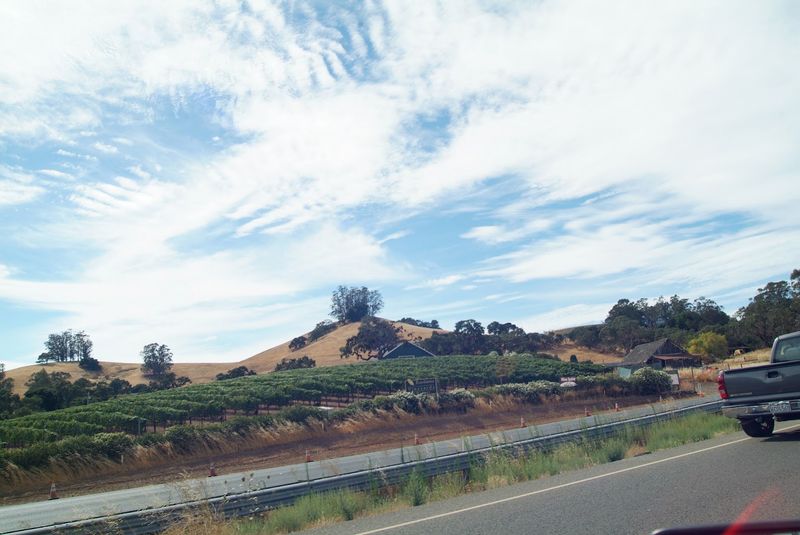Wine Country Wraps Around the Lake in Every Direction