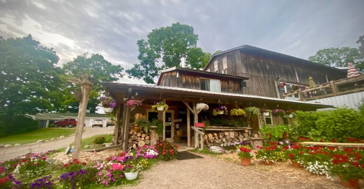 Wine Somehow Tastes Even Better Surrounded By Friendly Farm Animals At This Hidden Michigan Winery