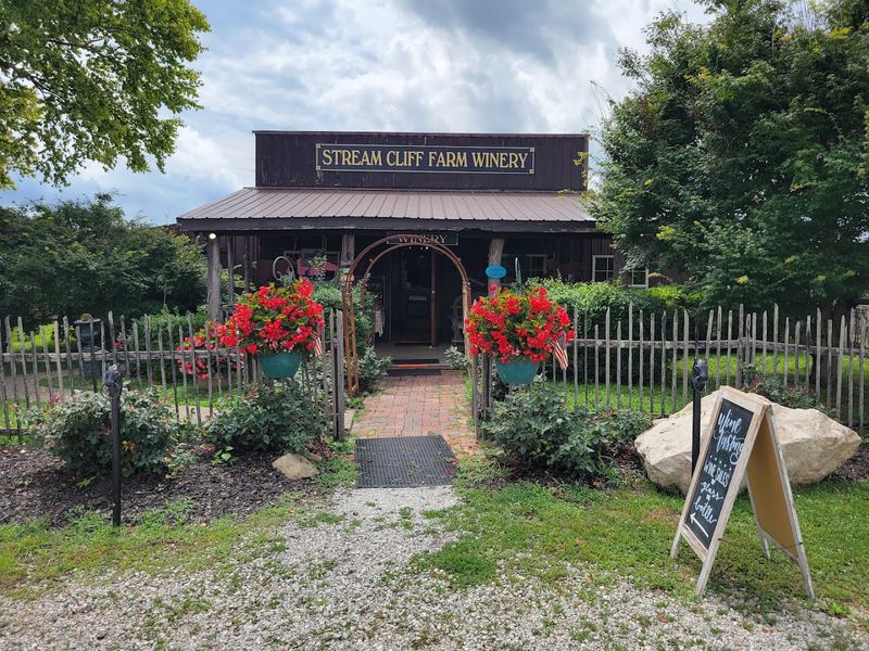 Wine Tasting That Turns Beginners Into Believers