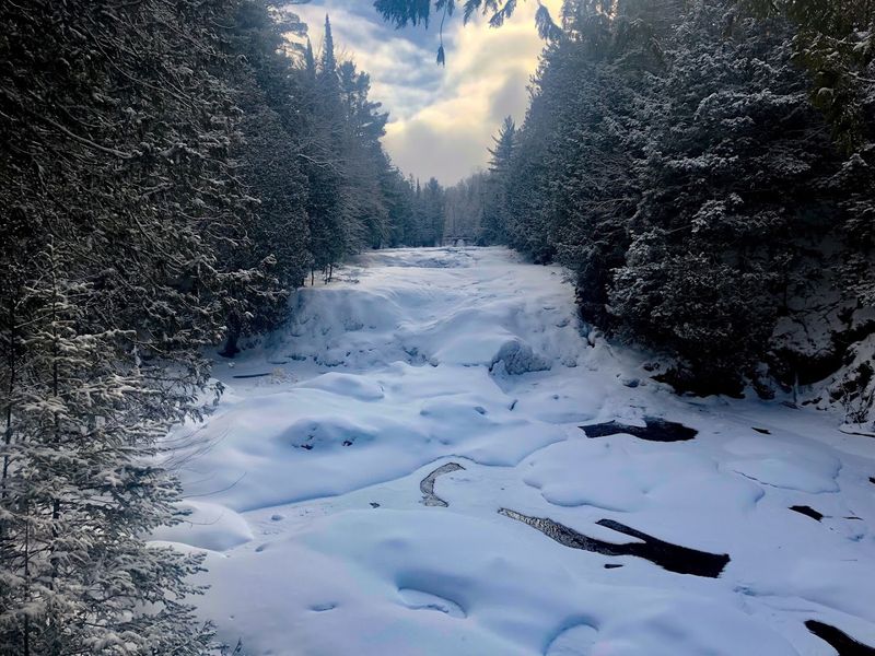 Winter Adventures: Snowshoeing and Cross-Country Skiing