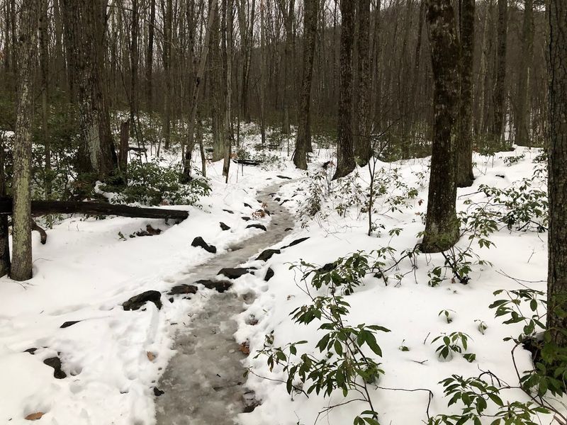 Winter Hiking Conditions: Beautiful but Demanding Winter Hiking Conditions: Beautiful but Demanding
