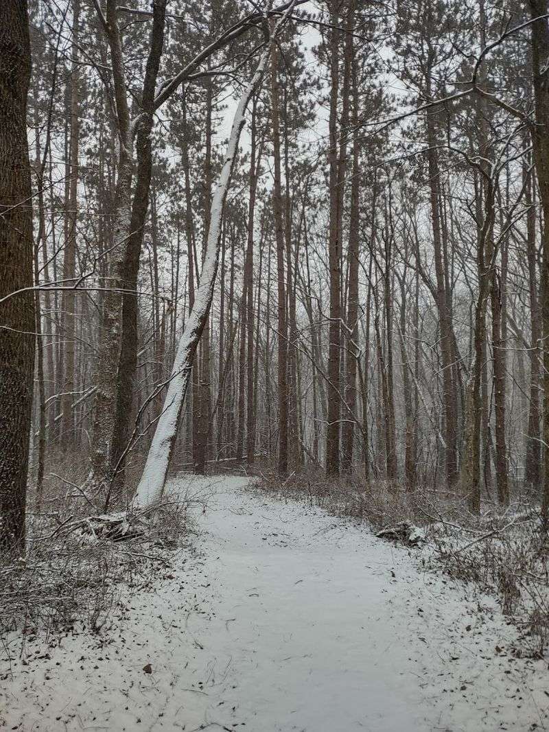 Winter Recreation Opportunities Most People Overlook Winter Recreation Opportunities Most People Overlook