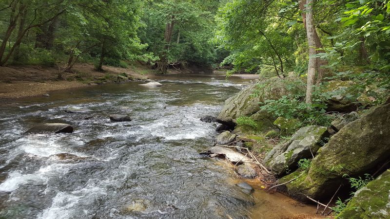 Wooded Trails Leading to the Middle Patuxent River