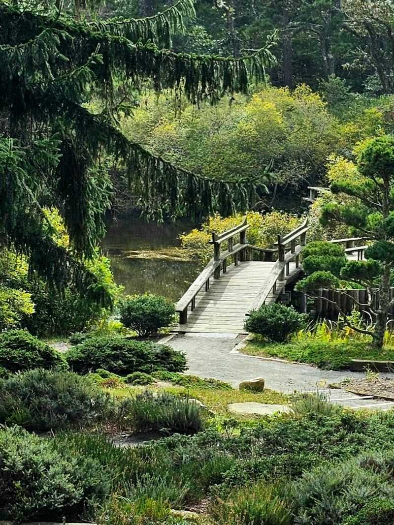 Wooden Bridges That Feel Like Stepping Into a Painting Wooden Bridges That Feel Like Stepping Into a Painting