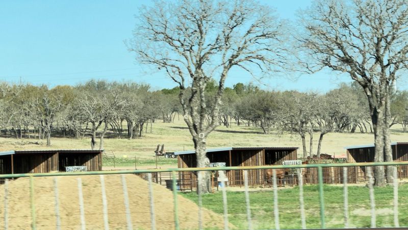 Working Ranches That Still Run the Old Way