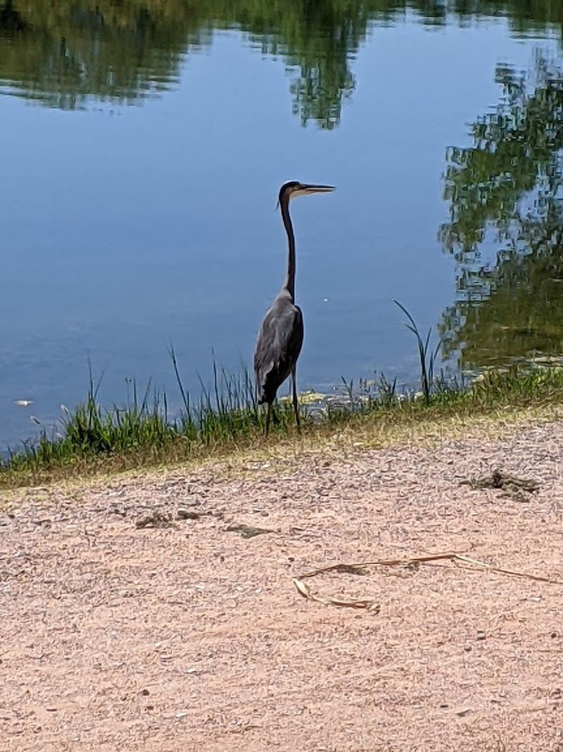 World-Class Bird Watching Opportunities World-Class Bird Watching Opportunities