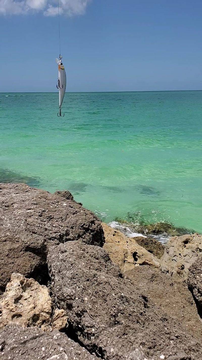 World-Class Fishing Opportunities