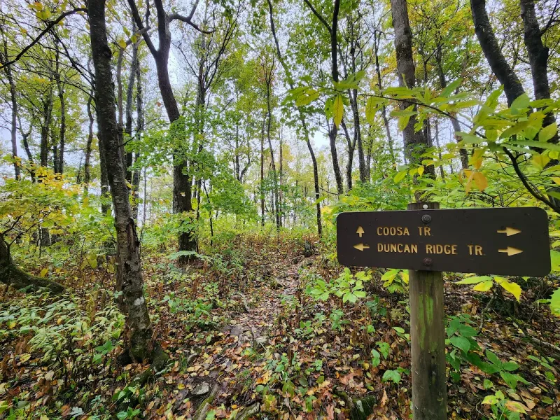 World-Class Hiking Trails For Every Skill Level World-Class Hiking Trails For Every Skill Level