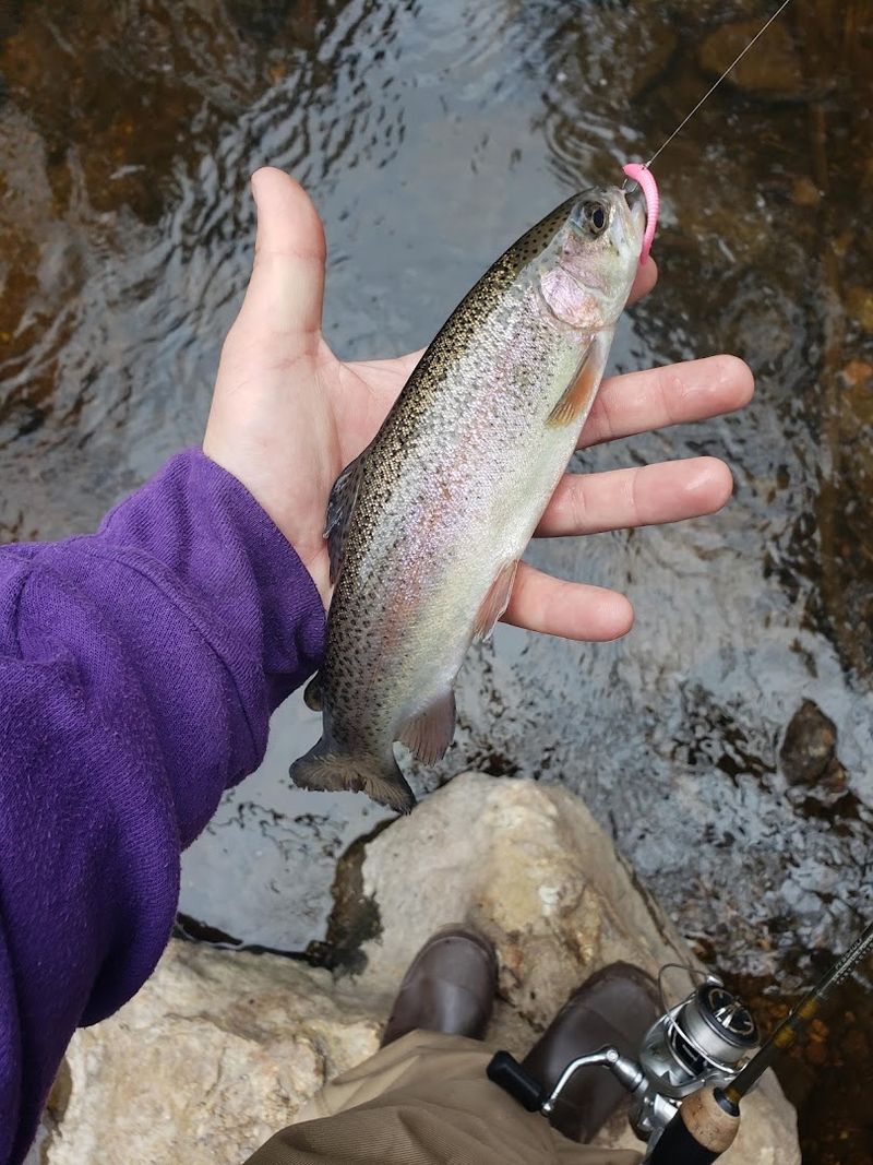 World-Class Trout Fishing Right in Connecticut's Backyard World-Class Trout Fishing Right in Connecticut's Backyard