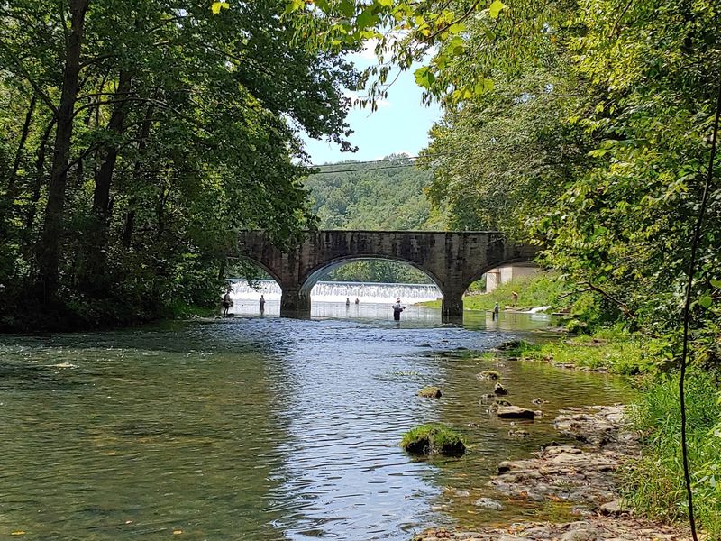 World-Class Trout Fishing in a Natural Spring Stream