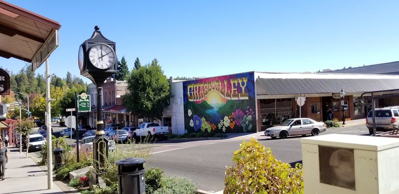 Year-Round Events That Keep the Community Connected