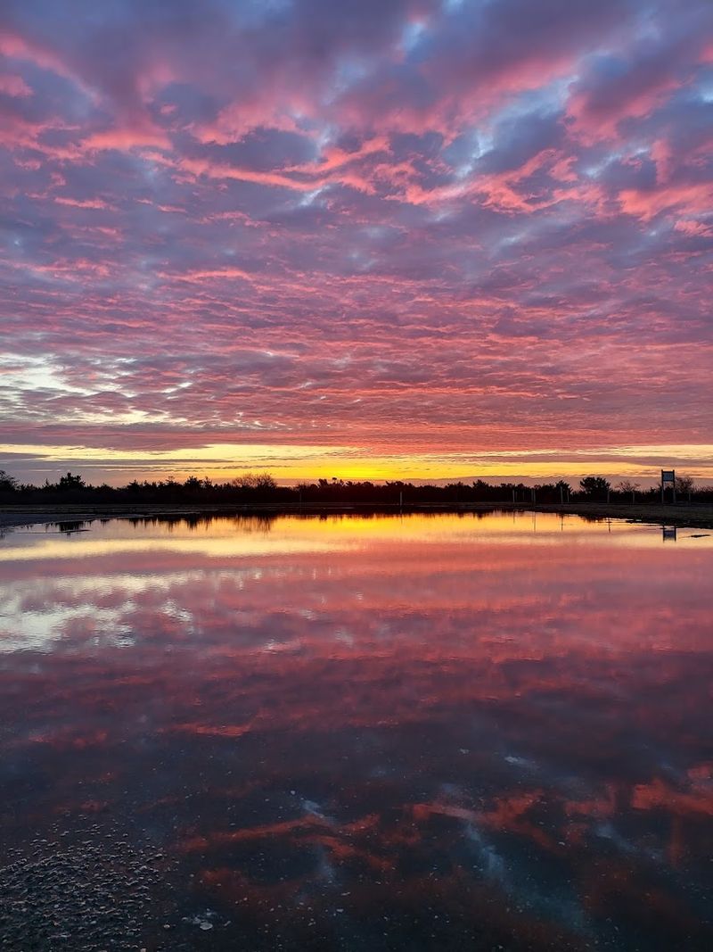 Year-Round Visits That Offer Something New Every Season
