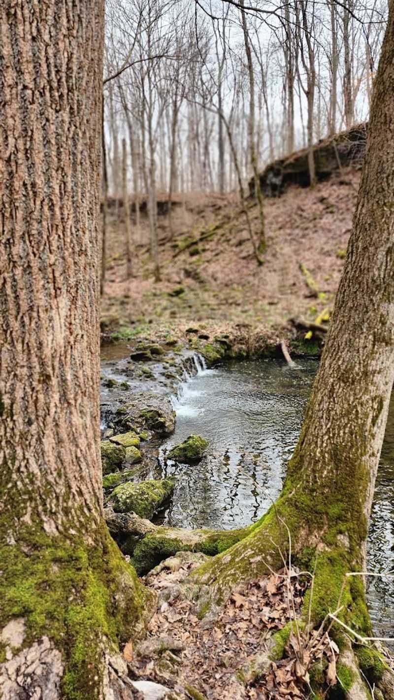 Yellow Springs - Ohio