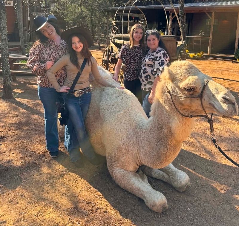Yoga Retreats and Group Experiences at Oak Meadow Ranch