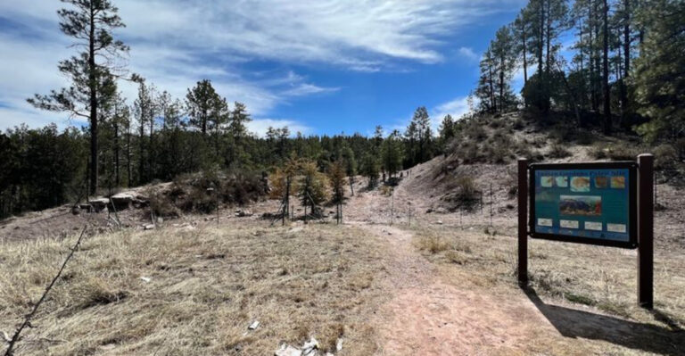 You Can Hunt Ancient Seashell Fossils In The Arizona Desert At This Incredible Spot