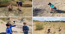 You Can Take Home 300-Million-Year-Old Fossils From This Texas Park, And It’s 100% Free