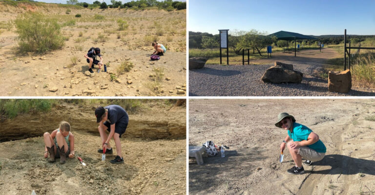 You Can Take Home 300 Million Year Old Fossils From This Texas Park and It’s 100 Free for a memorable trip