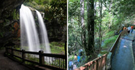 You Can Walk Right Behind This Spectacular 75 Foot Waterfall Hiding in North Carolina for a memorable trip