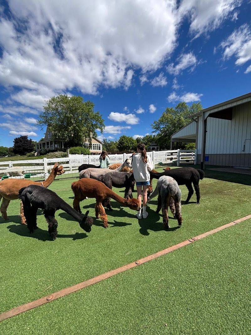 You Can Walk Right Into the Animal Pens