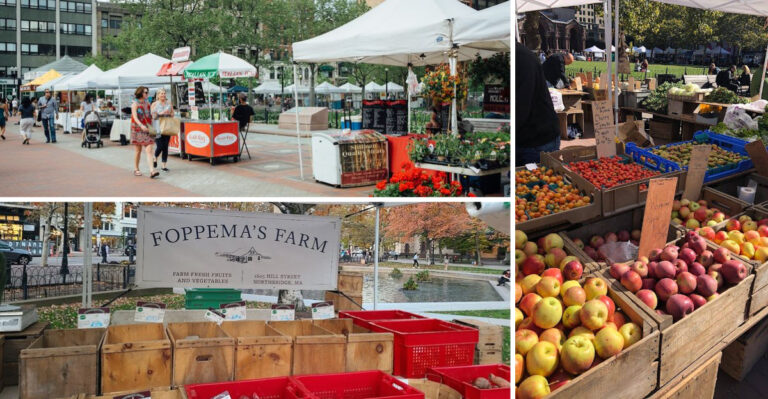 You may Fall in Love With This remarkable Farmers Market in Massachusetts