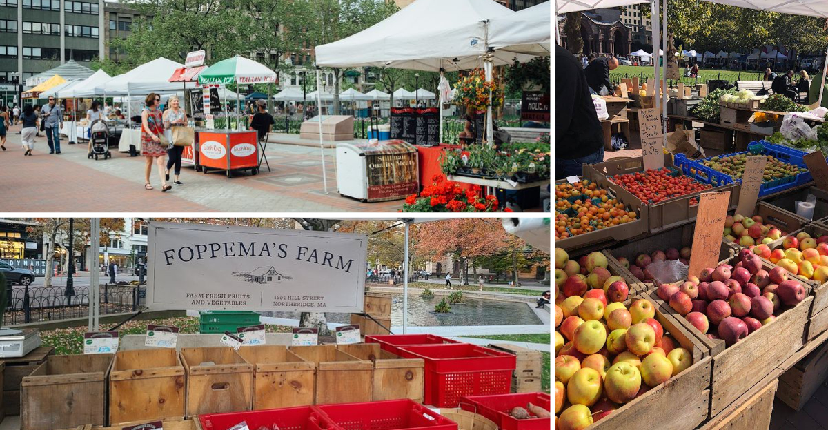 You may Fall in Love With This remarkable Farmers Market in Massachusetts