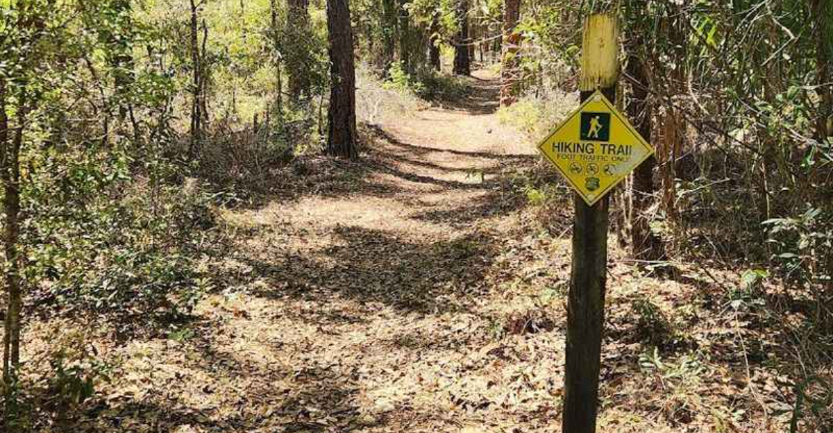 Youll Forget Youre In Florida On This Stunning 4 Mile Trail