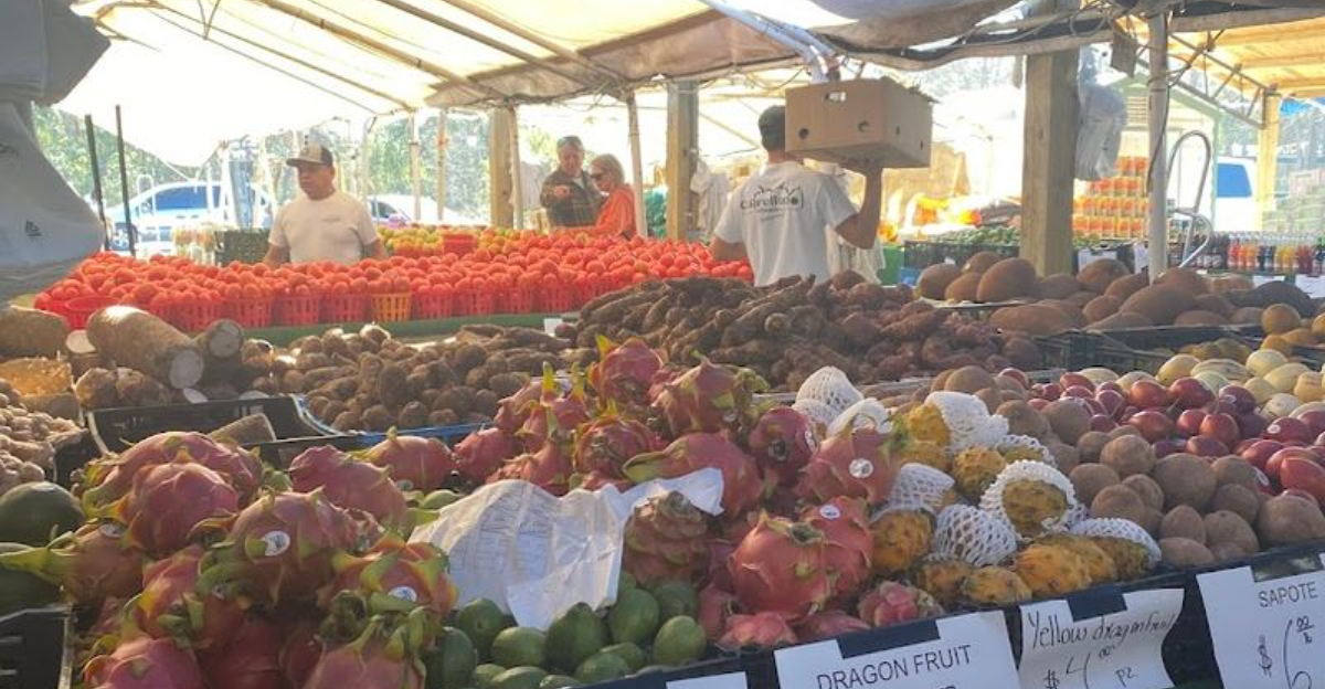 You’ll Want To Set Aside Your Entire Weekend For This Incredible South Carolina Flea Market