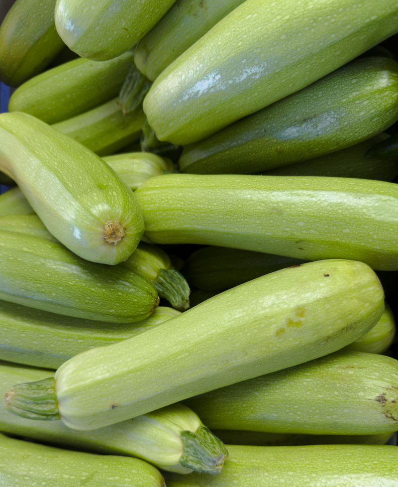 Zucchini Zucchini