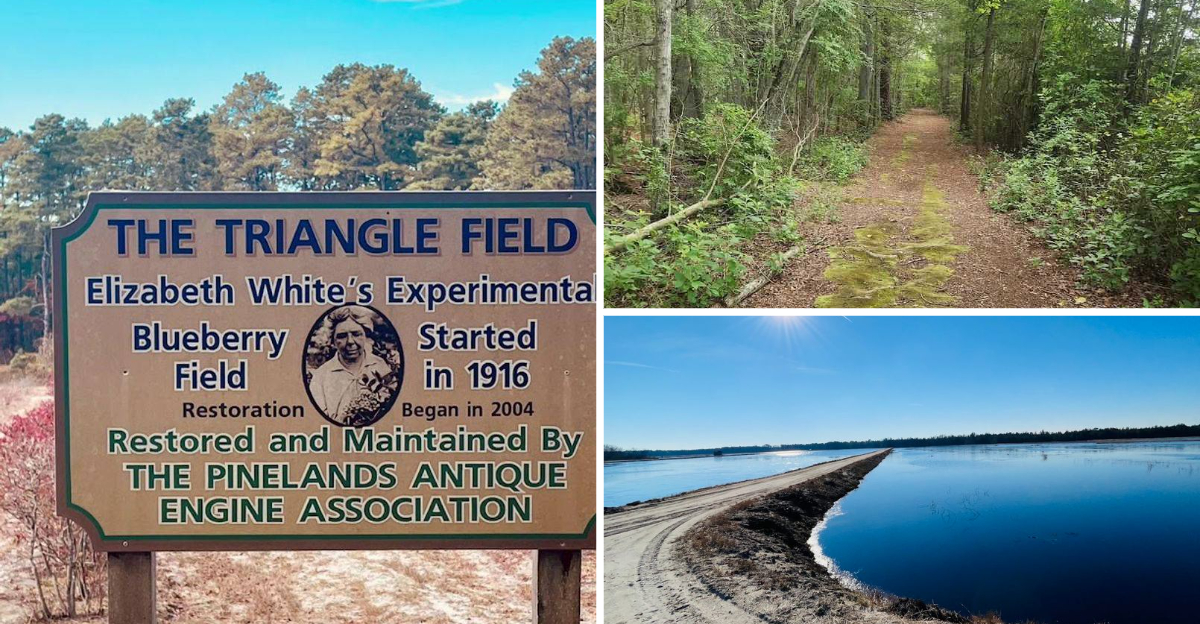 Hidden Inside This Historic New Jersey Village Is A Fascinating Secret Most Visitors Never Discover