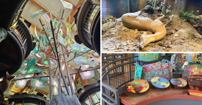 This Maryland Nature Center Is Packed With Family Adventures You’ll Want To Experience Again And Again