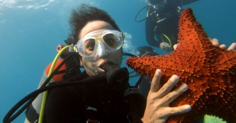 This Free Florida Snorkel Trail Offers One Of The Country’s Best Underwater Adventures