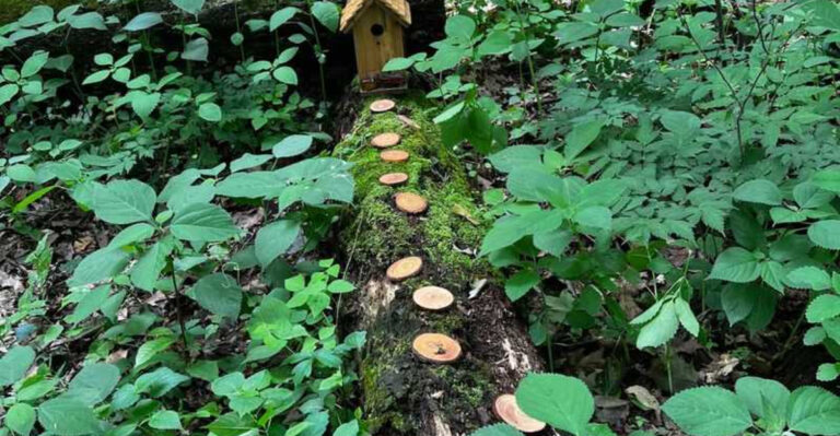This Incredible Man-Made Attraction In Ohio Is One Of The Buckeye State’s Best-Kept Secrets