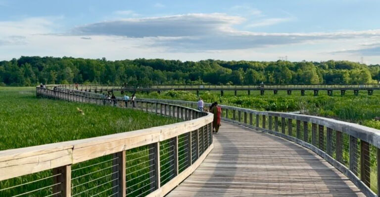 This Hidden Virginia Boardwalk Trail Leads To One Of The State’s Most Beautiful Views