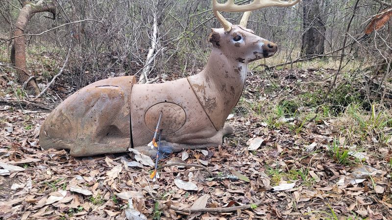 3D Archery Ranges That Impress Even Experienced Shooters