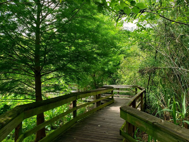 47 Acres of Pure Nature That Feels Miles Away From the City