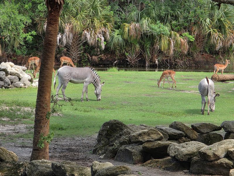 500-Plus Animals Across Diverse Exhibits