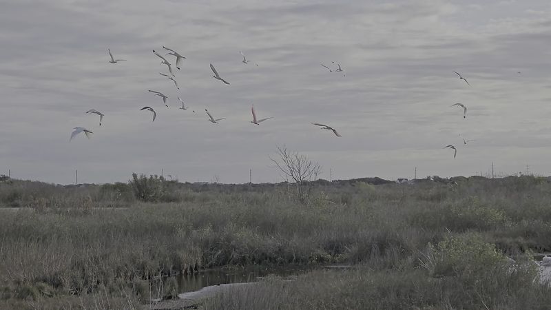 A Birder And Angler Paradise