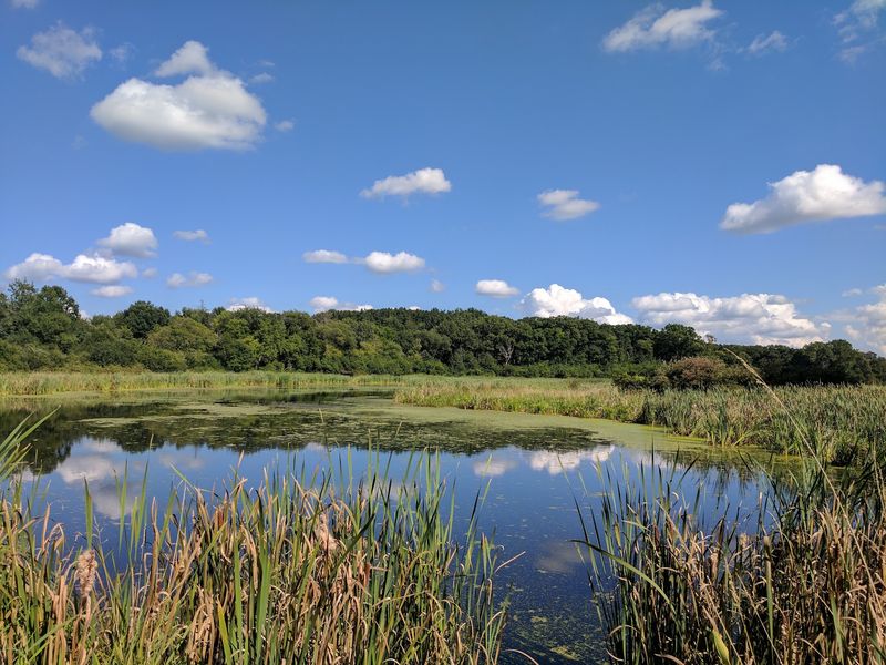 A Birdwatcher's Quiet Favorite