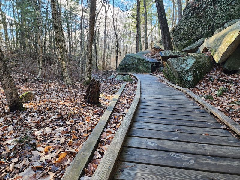 A Boardwalk And A Hidden Spring A Boardwalk And A Hidden Spring