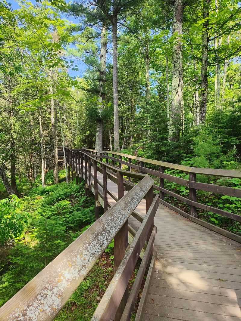 A Boardwalk Over a Fragile Bog
