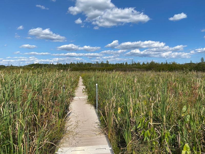 A Bog With Its Own Zip Code