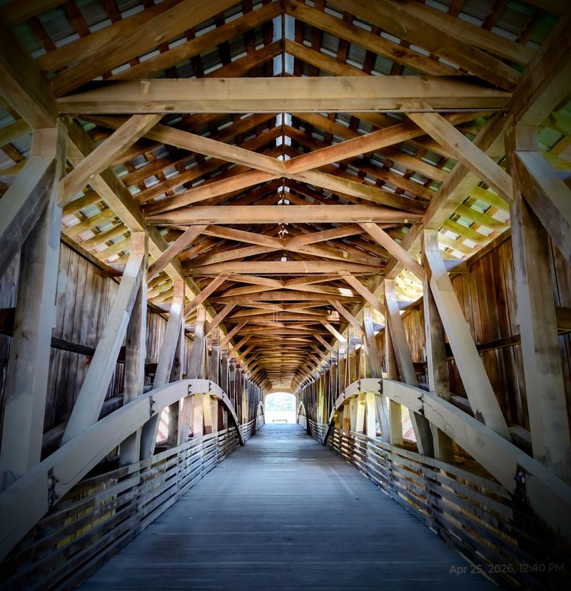 A Bridge Reborn From Its Own Ashes