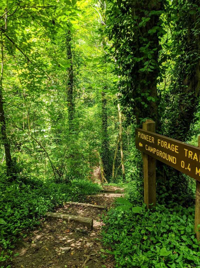 A Campground Built for Family Getaways