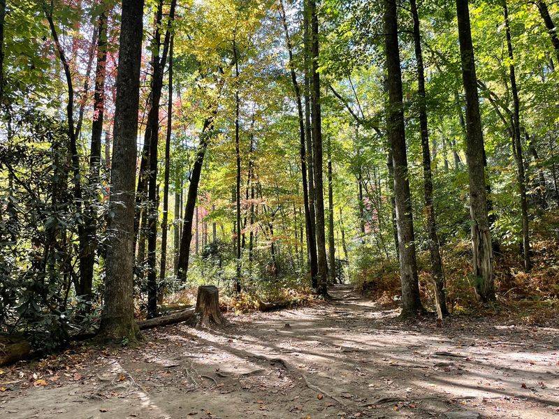 A Campground That Feels Like a Retreat A Campground That Feels Like a Retreat