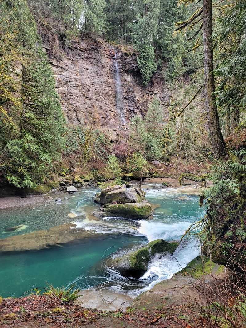 A Canyon Carved Deep and Green A Canyon Carved Deep and Green