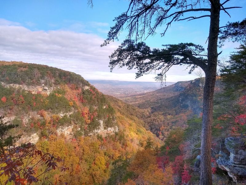 A Canyon Carved Like a Fairy Tale Setting A Canyon Carved Like a Fairy Tale Setting