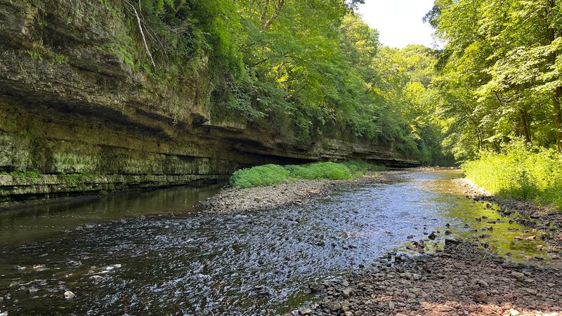 A Canyon Hiding in Northwest Illinois Farm Country