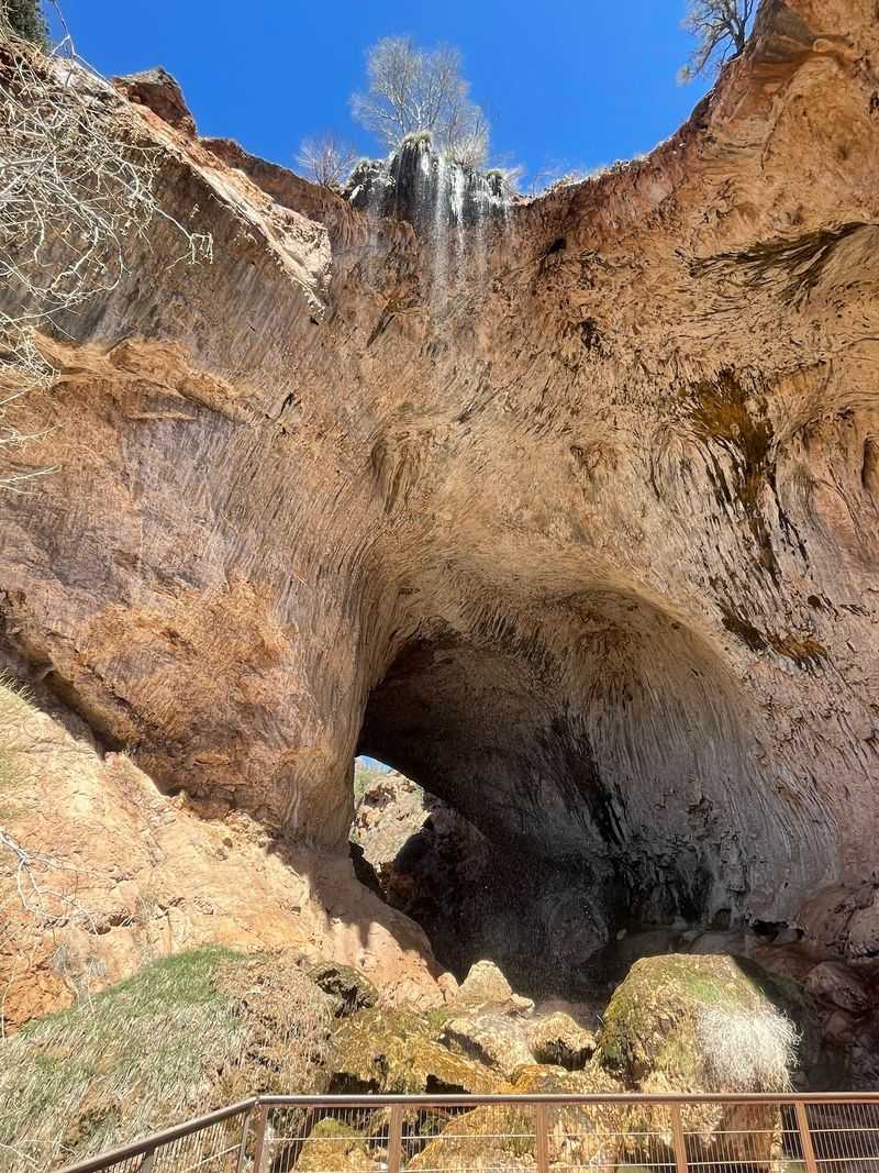 A Cave Draped in Hanging Roots