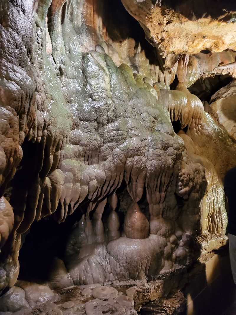 A Cave With Roots In The 1800s