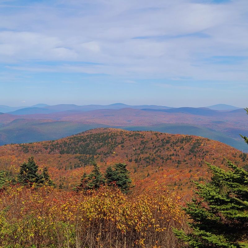 A Century of Protected Wilderness